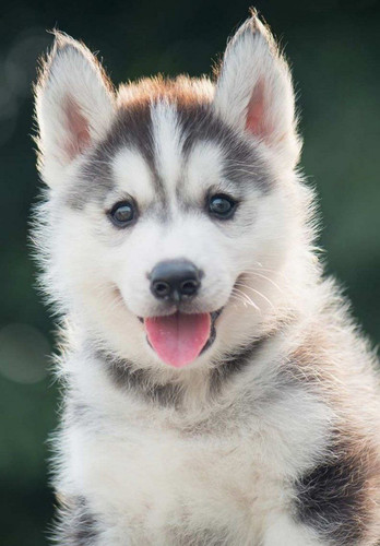 1726405836 1819009934.jpg