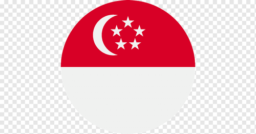 png transparent logo singapore brand font design flag logo vector icons.png