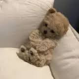 dog pfp.jpg