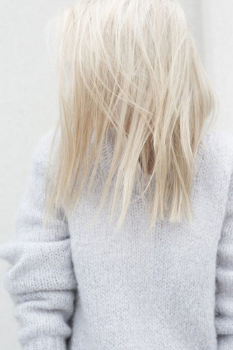 Image481.jpg