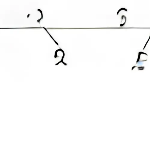 67806340056656444363621542713334.webp