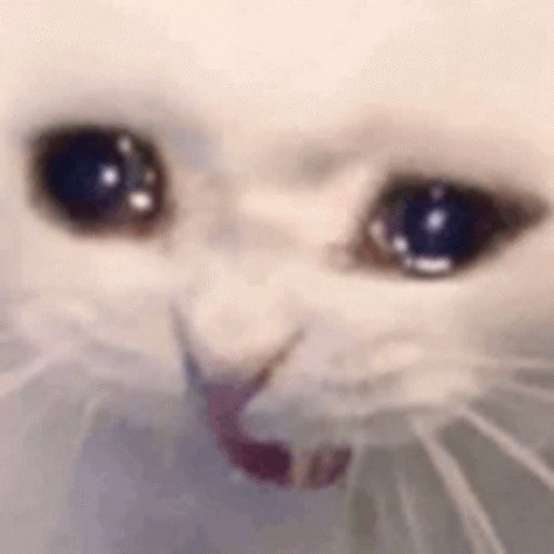 GXfxzCKWoAECWXJ.jpg