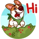 1726396563 402591024.webp