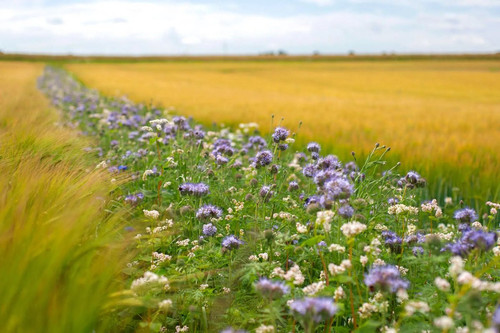 GXgV7xzXoAA4 lU?format=jpg.jpg