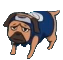 IMG 4060.png