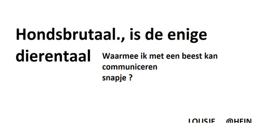 MemeHondsbrutaal.jpg