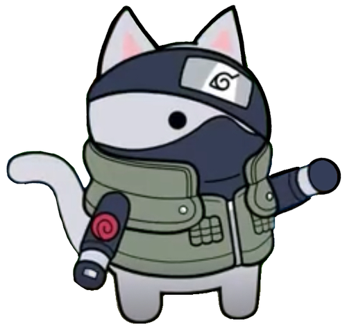 IMG 4049.png