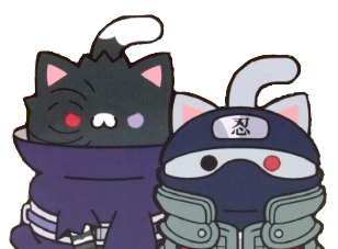IMG 4041.png