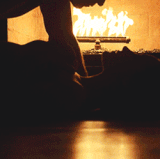 tumblr n98p80GyEA1sfkfqio1 r1 500.gif