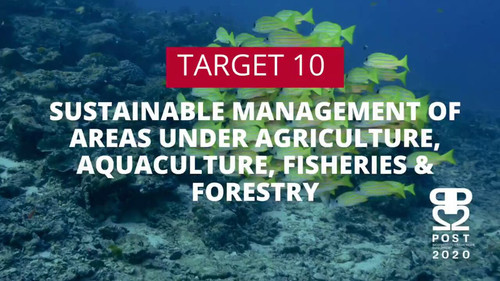 sbl TL3m3yujX2m0.jpg