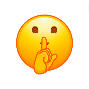 Screenshot 2024 09 14 at 22 45 40 co – 300 × 300 px.png