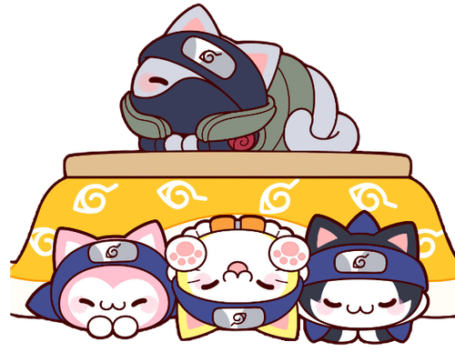IMG 3953.png