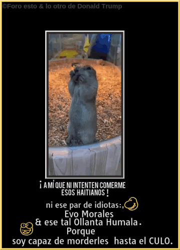 172640478228727 (3).gif