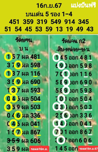 1416342.jpg