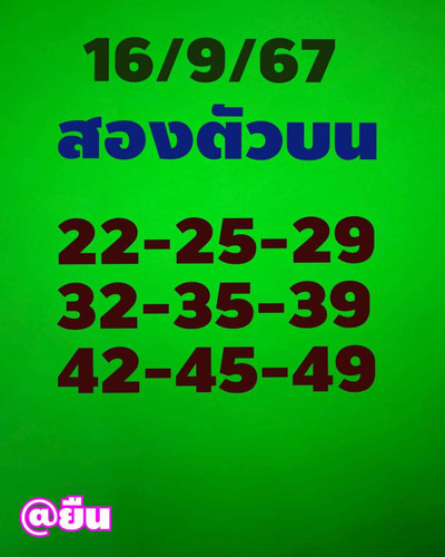 883512.jpg