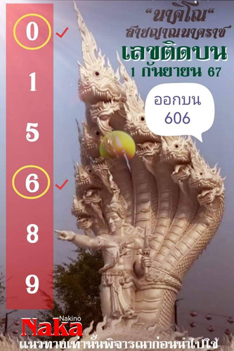 883288.jpg