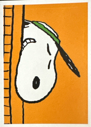 90.jpg