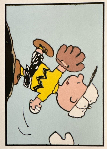 81.jpg