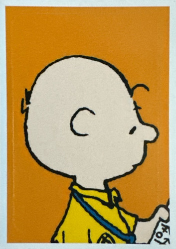 100.jpg