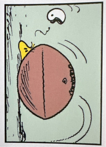 103.jpg