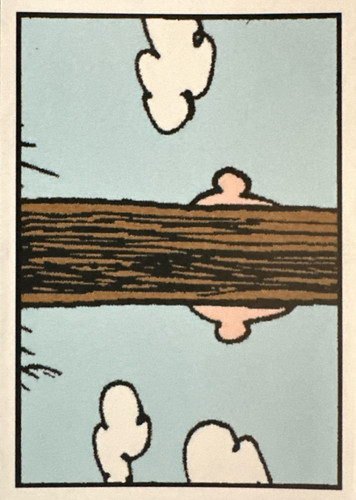 113.jpg