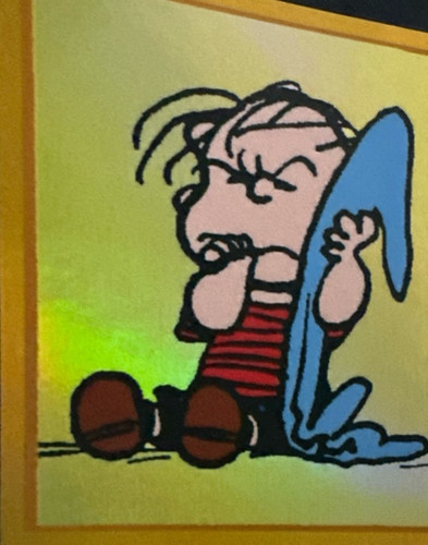 143.jpg
