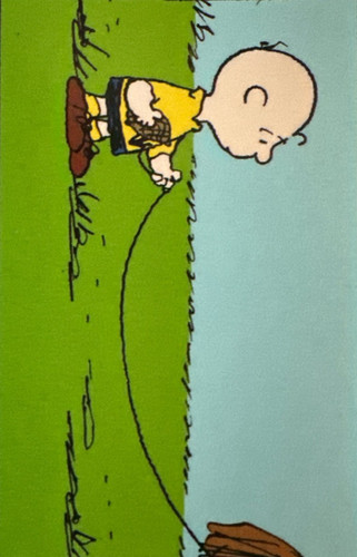 116.jpg