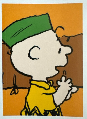 173.jpg
