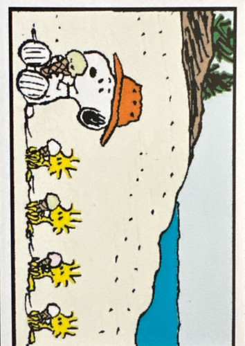 157.jpg