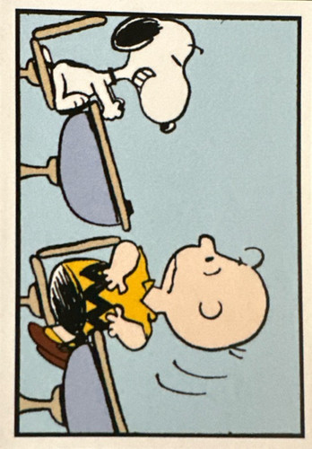 161.jpg
