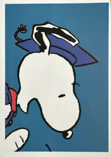 162.jpg