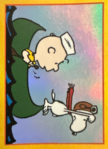 176.jpg