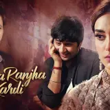 t15 ranjha ranjha kardi