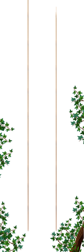 Menú Mobile Desplegable largo 1.png