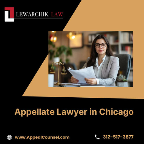 Appellate Lawyer in Chicago (1).jpg