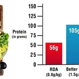 protein2473
