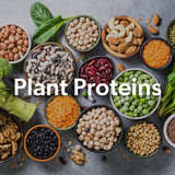 protein2474