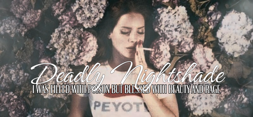 Deadly Nightshade 20240624 162820 0000.png