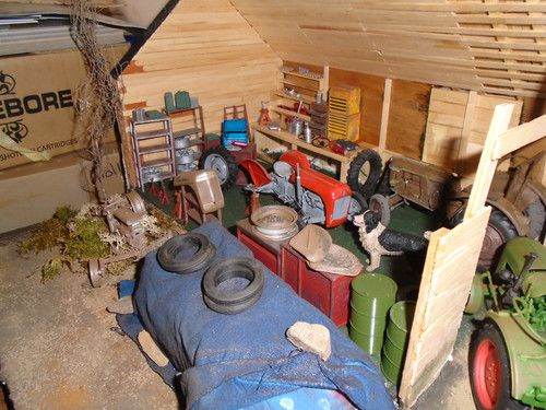 DSC02013.jpg