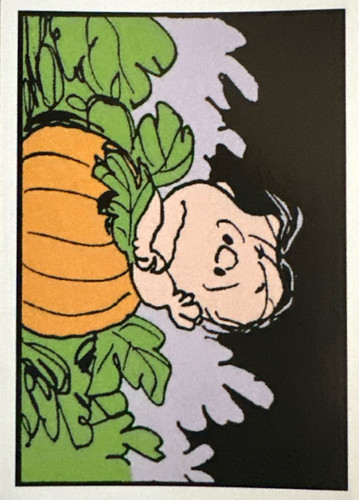 189.jpg