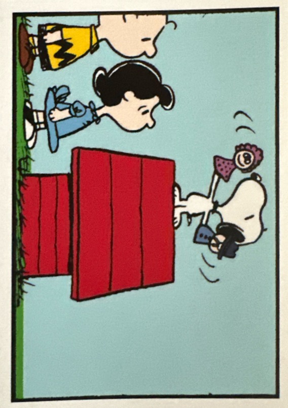 Peanuts 2024 Panini - Scegli figurina da 201 a 229 X1-X36 - Picture 2 of 65