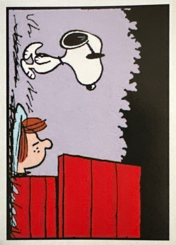 198.jpg