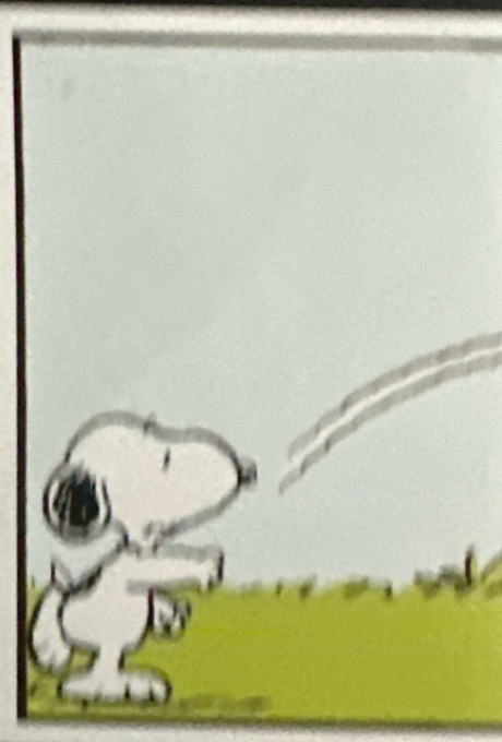Peanuts 2024 Panini - Scegli figurina da 201 a 229 X1-X36 - Picture 16 of 65