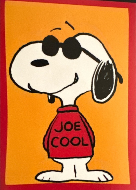 Peanuts 2024 Panini - Scegli figurina da 201 a 229 X1-X36 - Picture 55 of 65