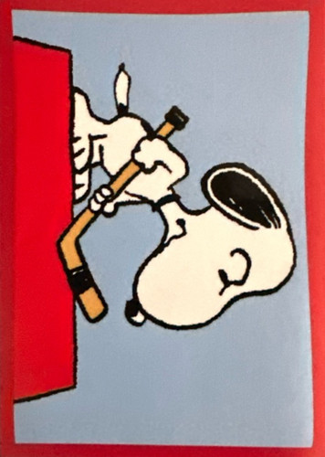 255.jpg