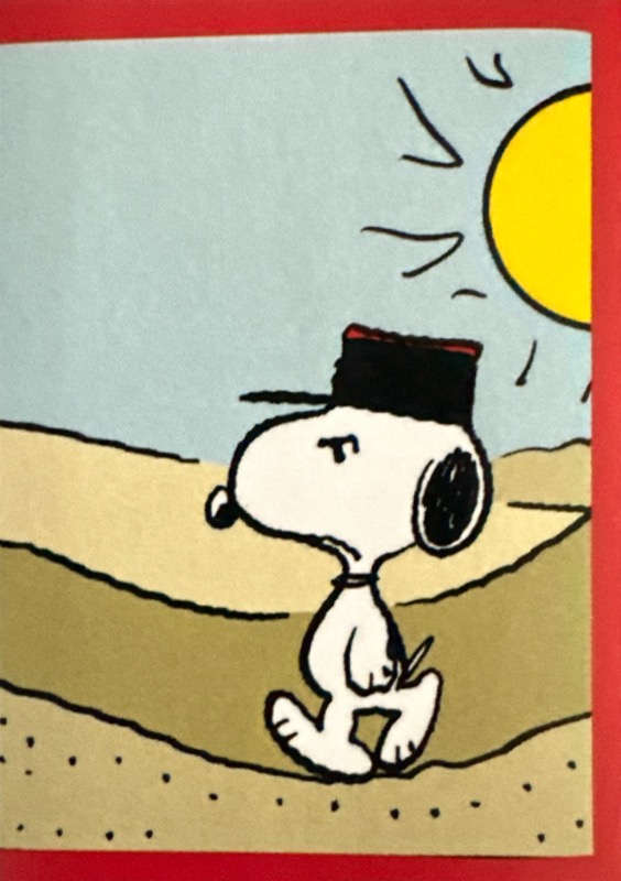 Peanuts 2024 Panini - Scegli figurina da 201 a 229 X1-X36 - Picture 45 of 65