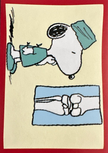 235.jpg