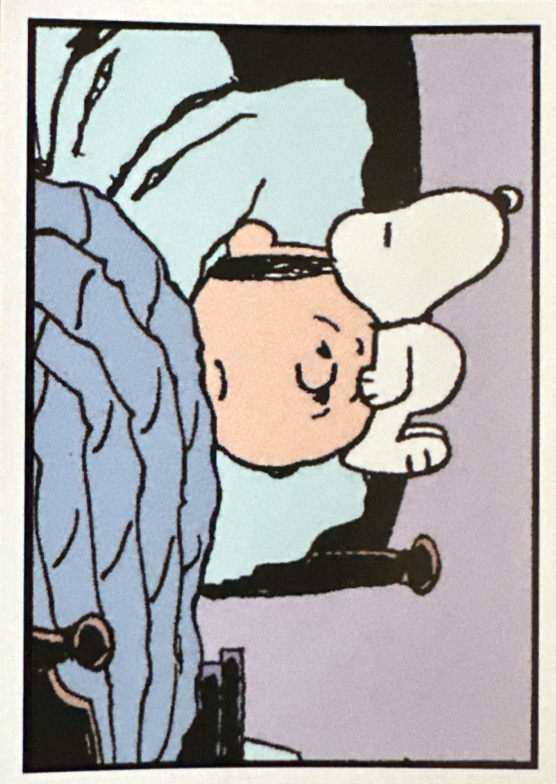 Peanuts 2024 Panini - Scegli figurina da 201 a 229 X1-X36 - Picture 27 of 65