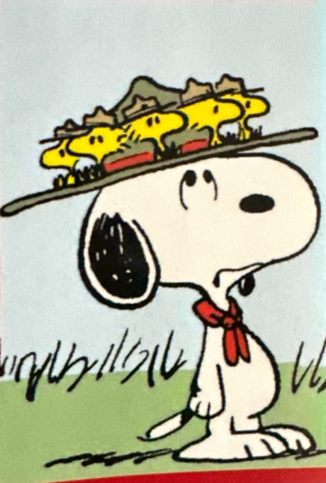 Peanuts 2024 Panini - Scegli figurina da 201 a 229 X1-X36 - Picture 60 of 65
