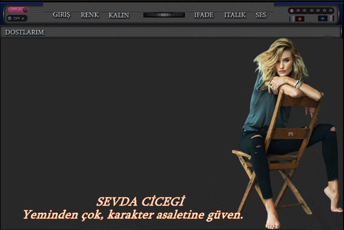 asalet.jpg
